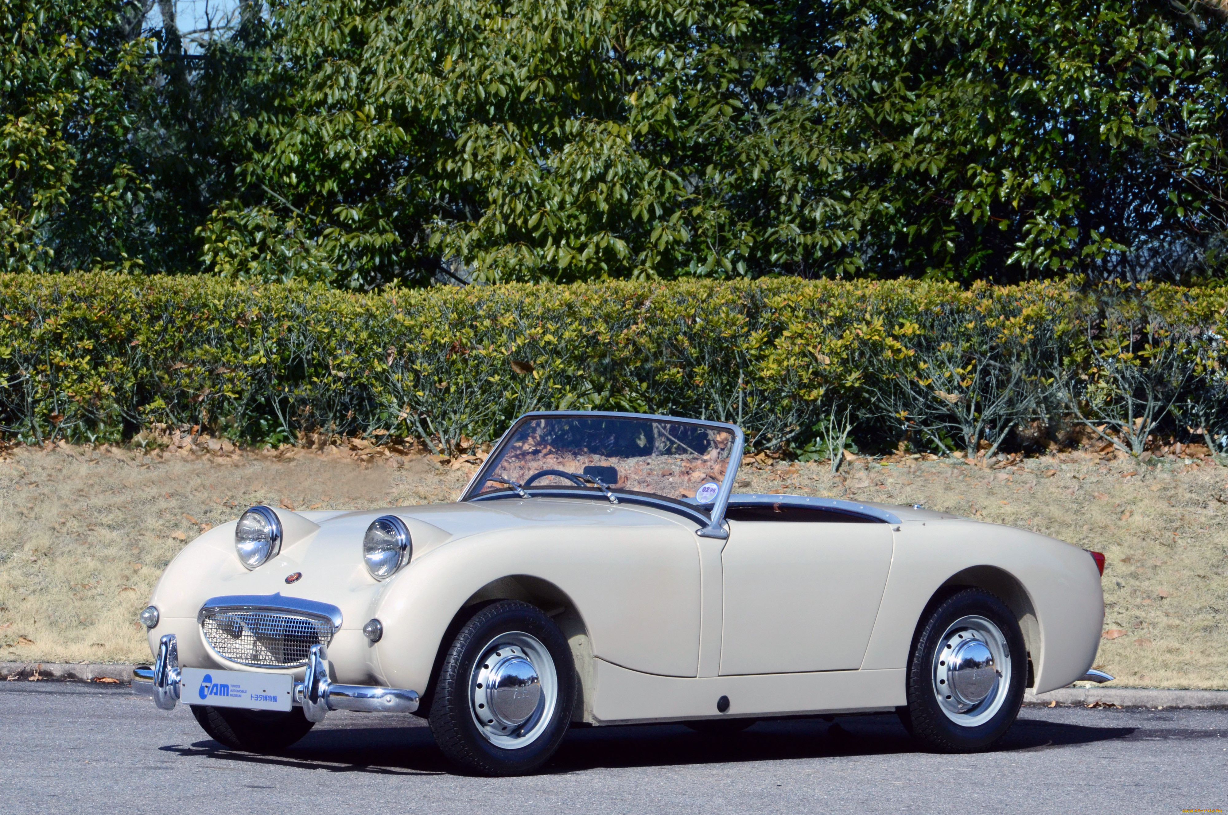 austin healey sprite mk1