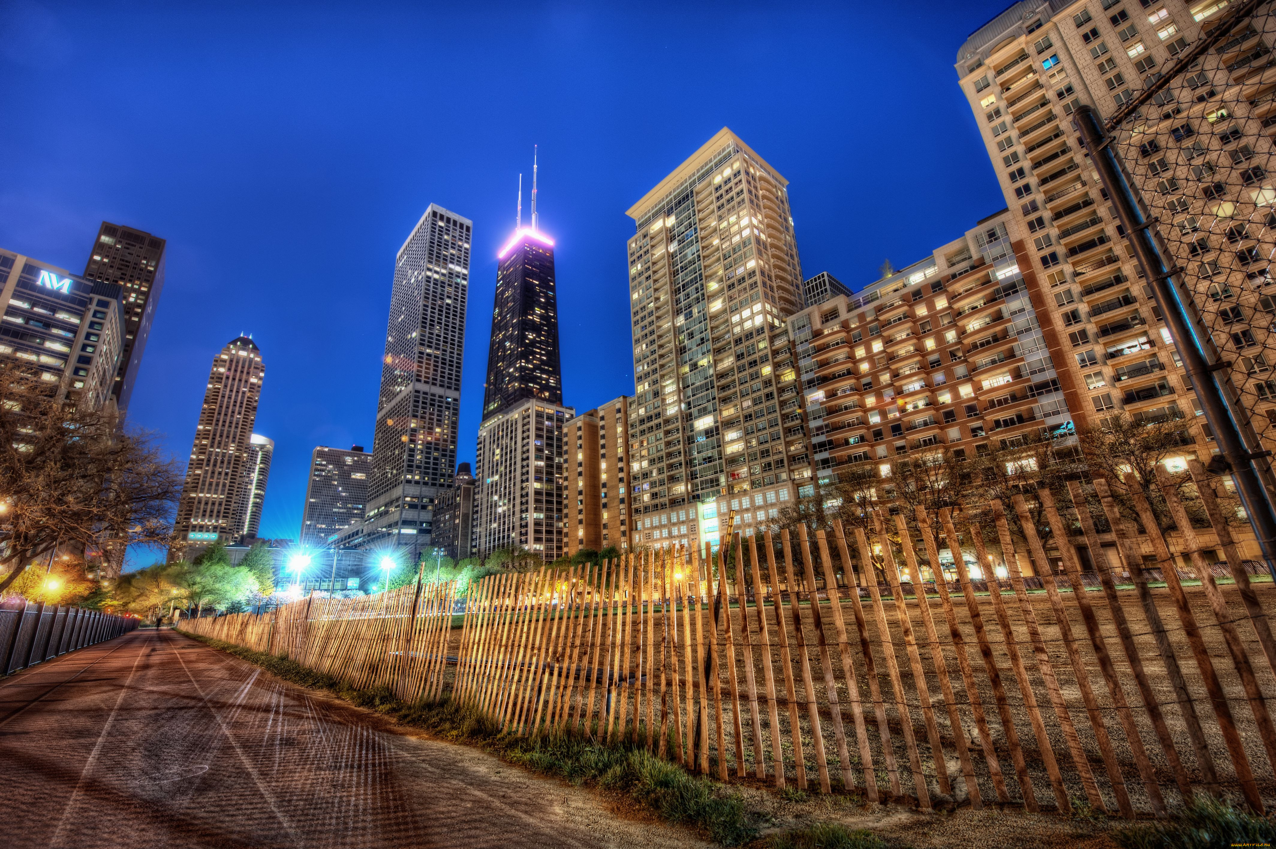 Escorts In Chicago Downtown