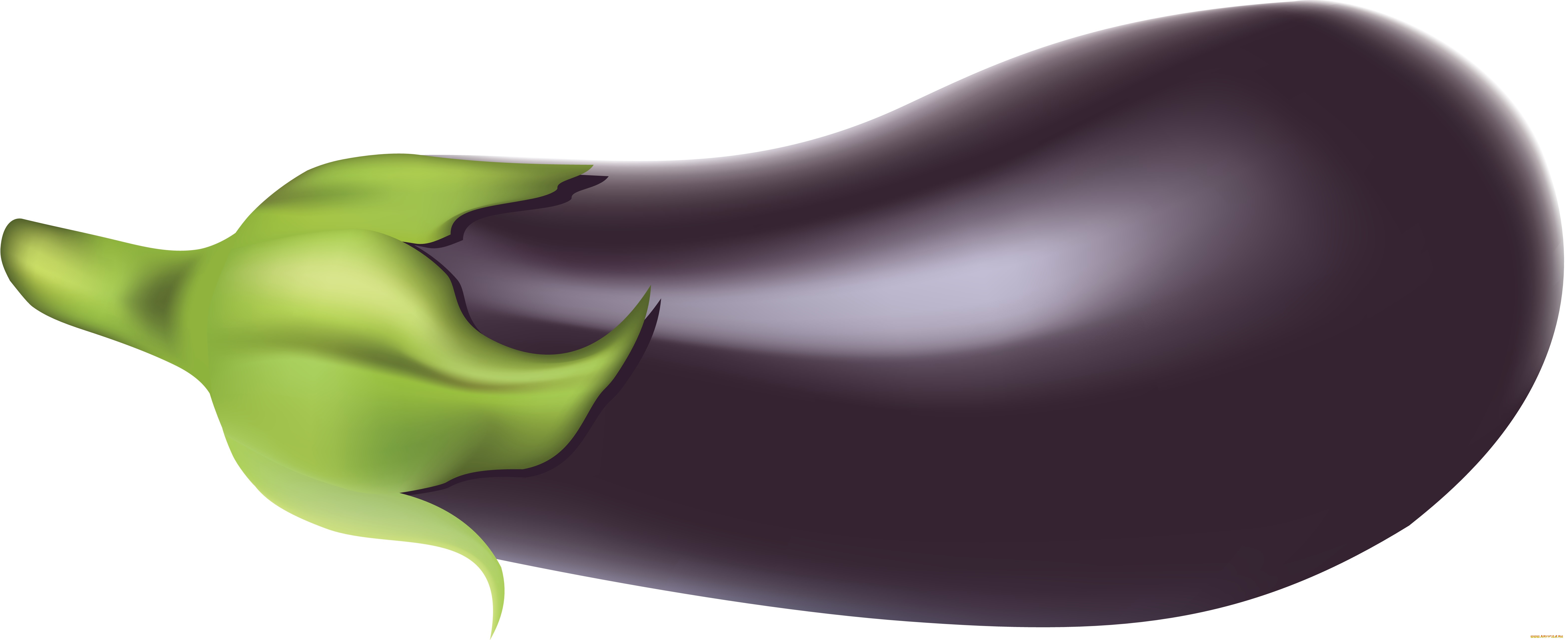 Eggplant Insertion