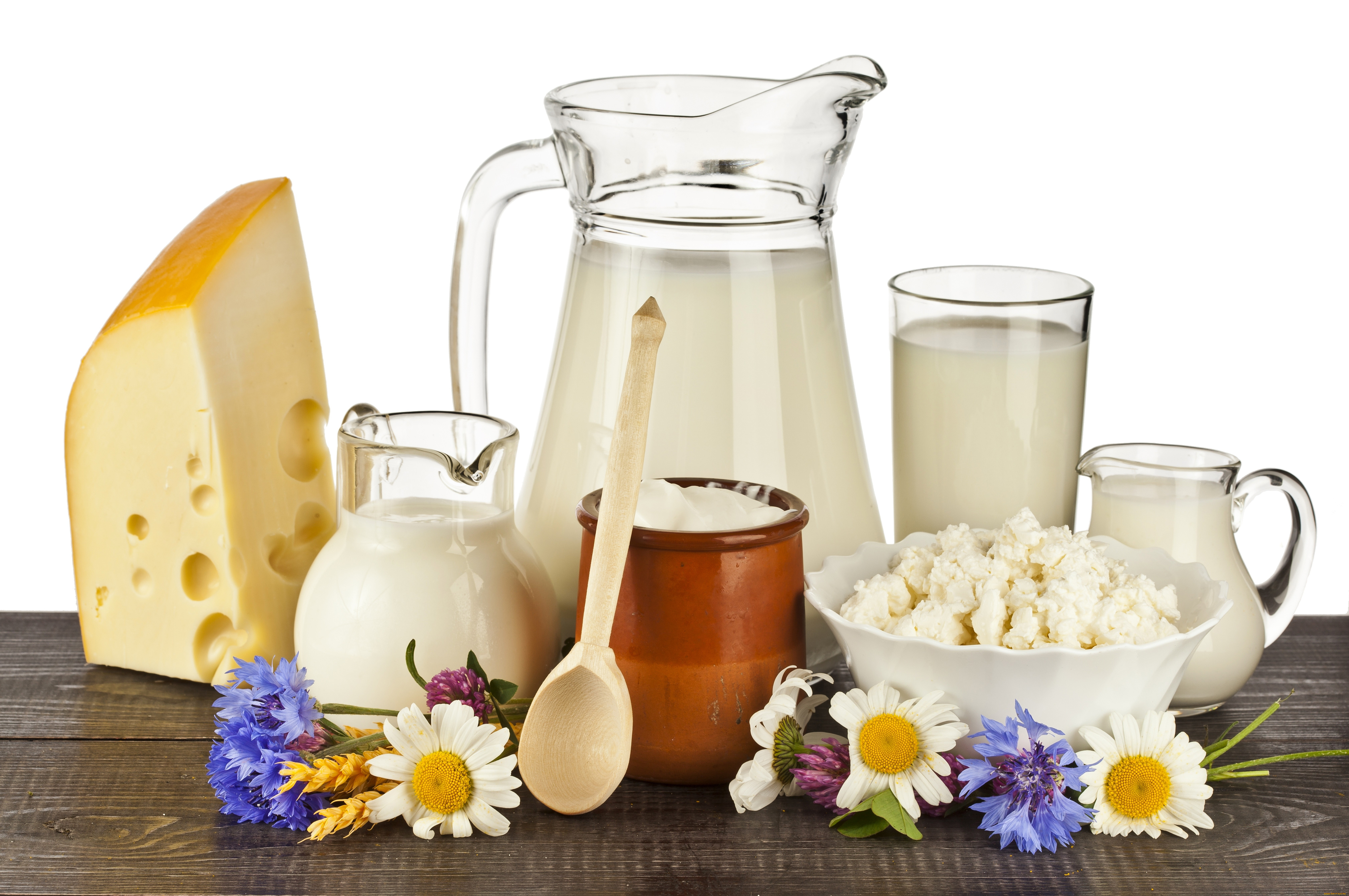 Молочные Продукты Недорого