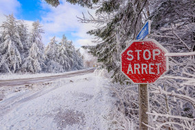      2048x1367 , , , snow, road, , , winter, trees