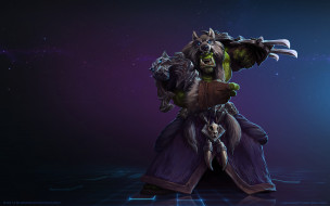 Heroes of the Storm     1920x1200 heroes of the storm,  , 