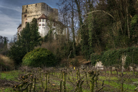 angenstein castle, ,  , 