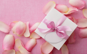 ,   ,  ,  , delicate, pink, rose, petals, valentine's, day, love, heart, romantic, , , 