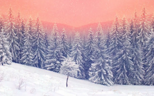     1010539 (a): :2880x1800