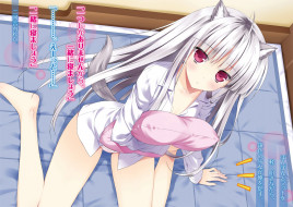      2000x1422 , absolute duo, 