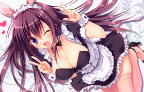     2132x1365 , absolute duo, 