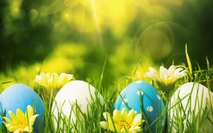      2880x1800 , , decoration, eggs, happy, easter, , , , flowers, spring