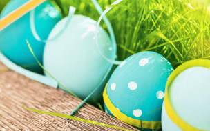      2880x1800 , , decoration, easter, , , , , flowers, spring, eggs, happy