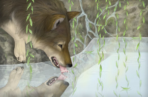 рисованное, животные,  волки, вода, волк, отражение
