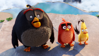      3840x2160 , the angry birds movie, bomb, red, chuck