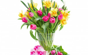      2880x1800 , ,  , , , gift, tulips, daffodils, , 