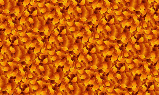    1023359 (a): :1920x1145