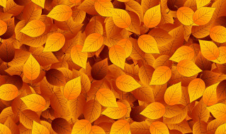     1023360 (a): :1920x1145