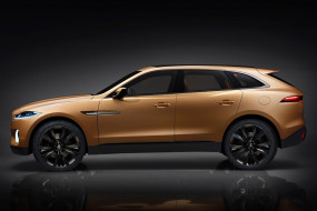 jaguar c-x17 concept 2016, , jaguar, crossover, concept, 2016, c-x17