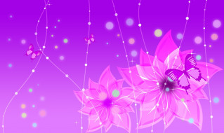     1028813 (a): :1920x1147