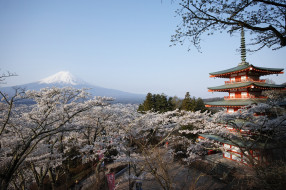 Chureito Pagoda with Mt. Fuji     2048x1365 chureito pagoda with mt,  fuji, , -    , , 