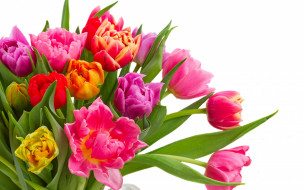      2880x1800 , , colorful, bouquet, flowers, tulips