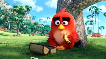      3840x2160 , the angry birds movie, red, angry, birds, movie