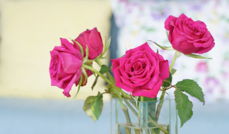  обои для рабочего стола 2048x1204 цветы, розы, ваза, букет