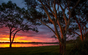      1920x1200 , , , big, swamp, sunset, australia