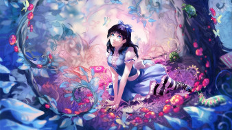 Alice In Wonderland     1920x1080 alice in wonderland, , , , 