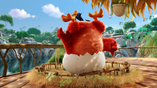 the angry birds movie, , 