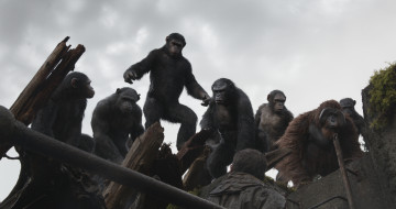 Rise of the Planet of the Apes     2178x1152 rise of the planet of the apes,  , 