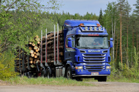      3620x2414 , scania, truck, timber, r560