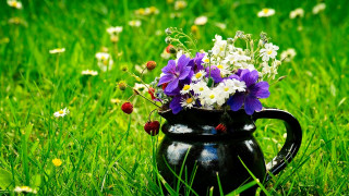     1052216 (a):Barborka :1920x1080