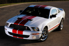      3600x2394 , mustang, shelby, vip, white, gt500, 2007