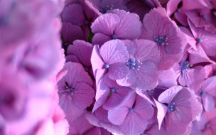     1052973 (a): :2880x1800