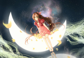 аниме, final fantasy, звезды, gainsborough, небо, цветы, девушка, луна, aeris