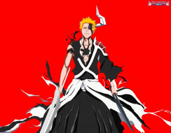      3991x3109 , bleach, 