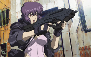 , ghost in the shell, , , 