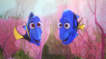      4097x2305 , finding dory, 