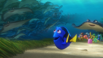      4096x2303 , finding dory, 