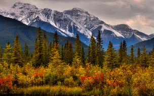 природа, горы, канада, канадские, скалистые, деревья, кусты, осень