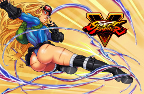 Street Fighter V     2216x1452 street fighter v,  , 