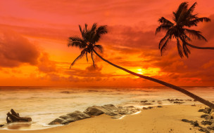      2880x1800 , , paradise, shore, sea, sunset, beach, sand, tropical, , , , , , 