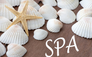      2880x1800 , ,  ,    spa-, starfish, seashells, relax, wellness, still, life, spa