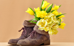      2880x1800 , , bouquet, flowers, tulips, , boots