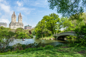 Central Park/New York     2048x1362 central park, new york, , - , , 