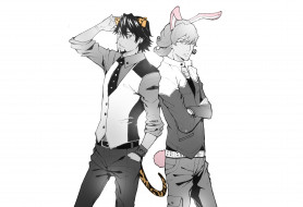      4440x3036 , tiger and bunny, , 