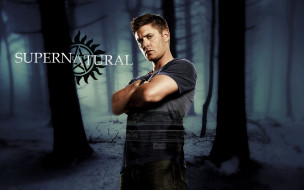      1920x1200  , supernatural, dean, winchester