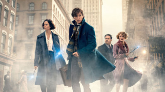      2560x1440  , fantastic beasts and where to find them, fantastic, beasts, and, where, to, find, them
