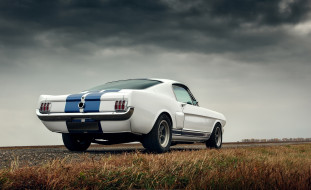      1920x1174 , mustang, , , , ford, gt350, , , , 