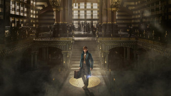     1920x1080  , fantastic beasts and where to find them, , 