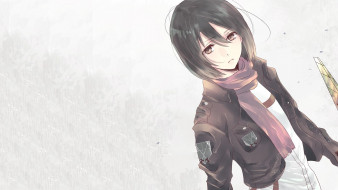      1920x1080 , shingeki no kyojin, attack, on, titan, anime, mikasa, ackerman