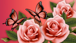     1101659 (a): :1920x1080